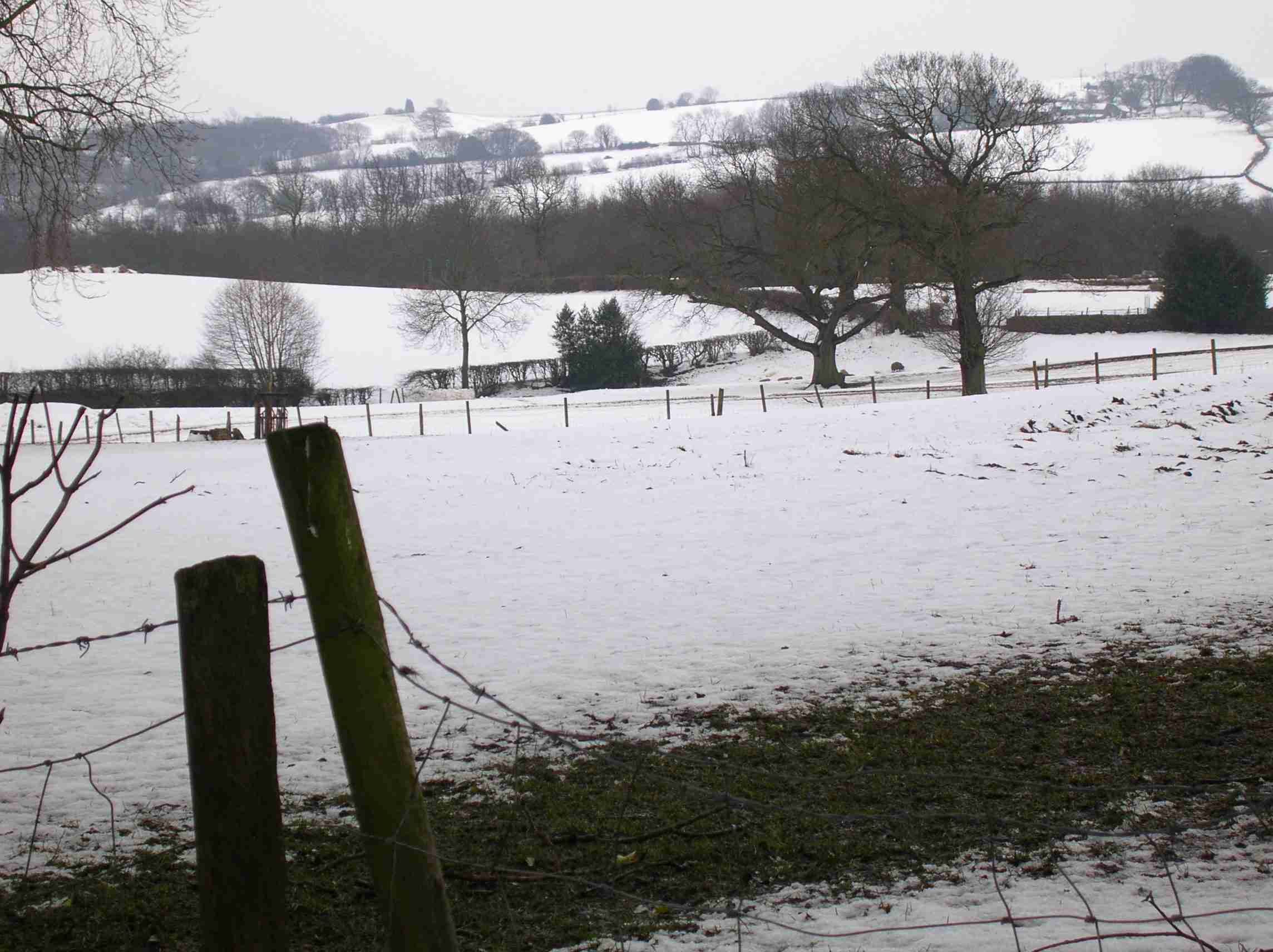Looking over the fields from TOTLEY HALL LANE