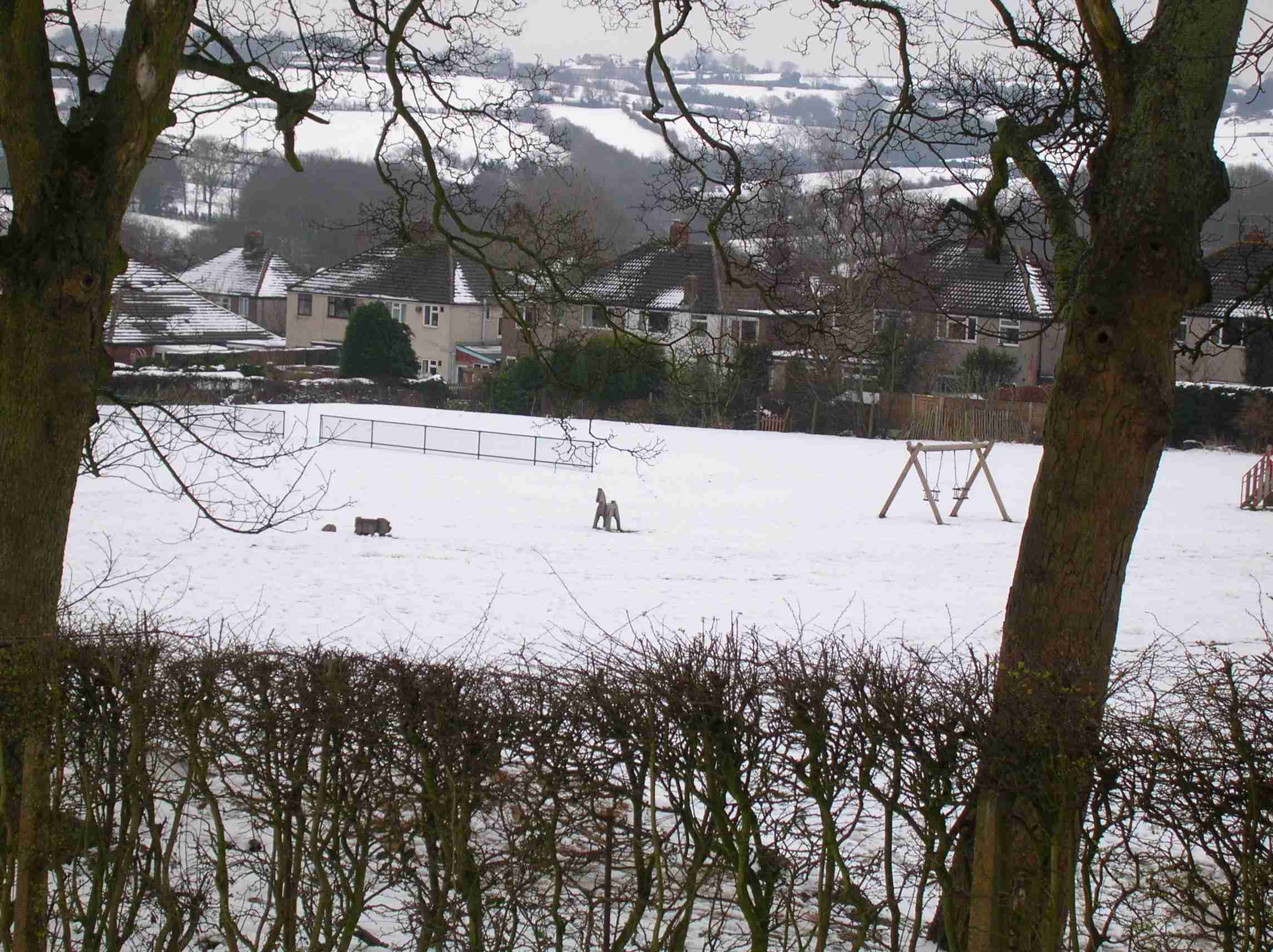 Looking over COLLEGE FIELDS towards houses at very top end of GREENOAK ROAD 