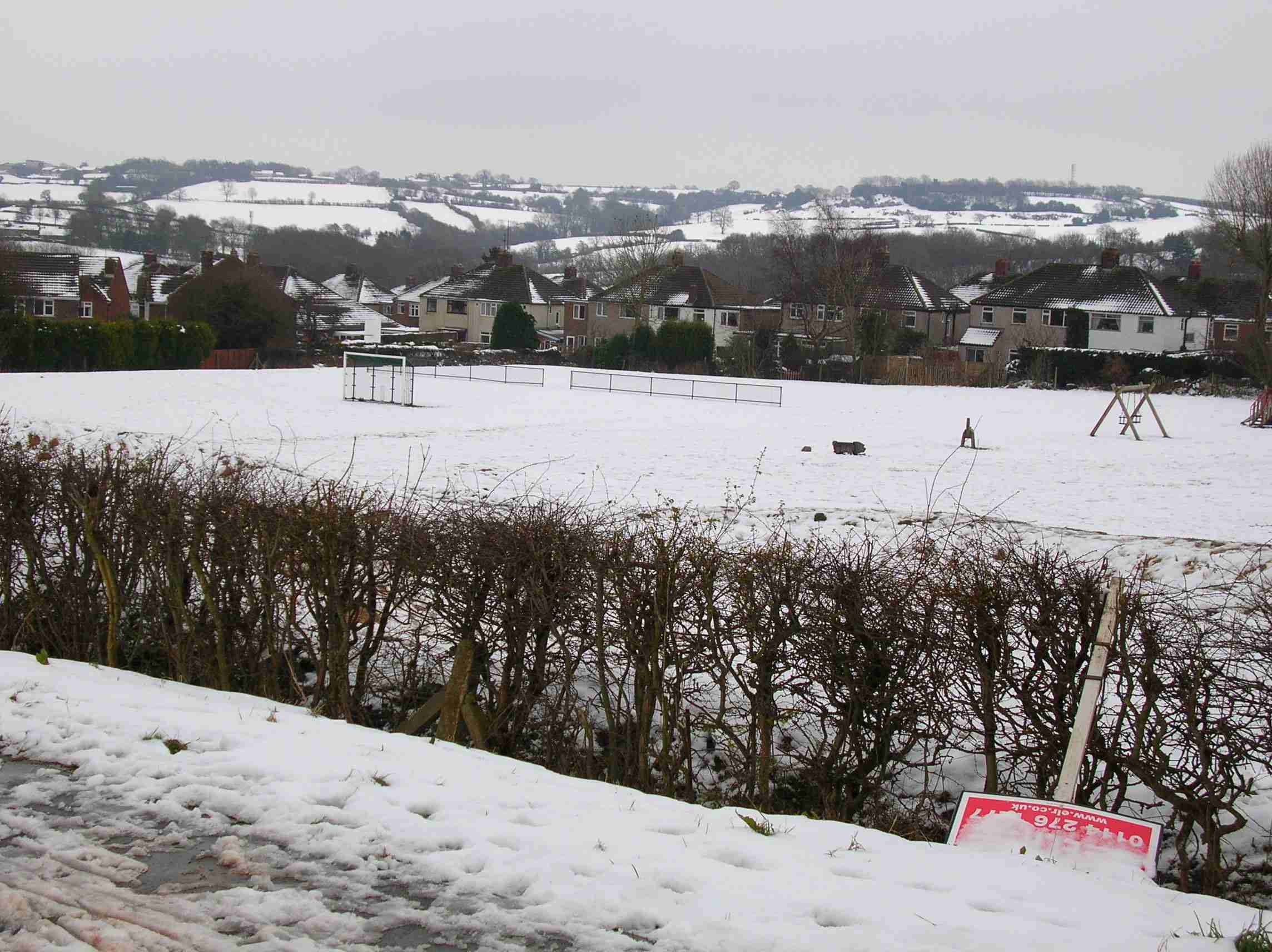 Looking over COLLEGE FIELDS towards houses at very top end of GREENOAK ROAD