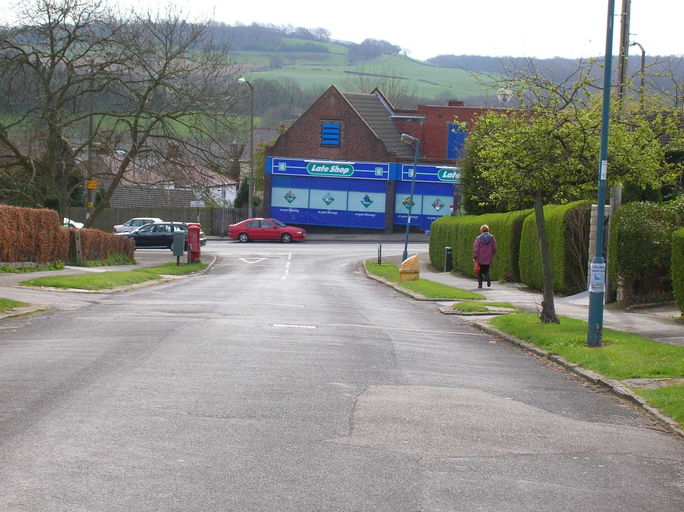 View of Totley 