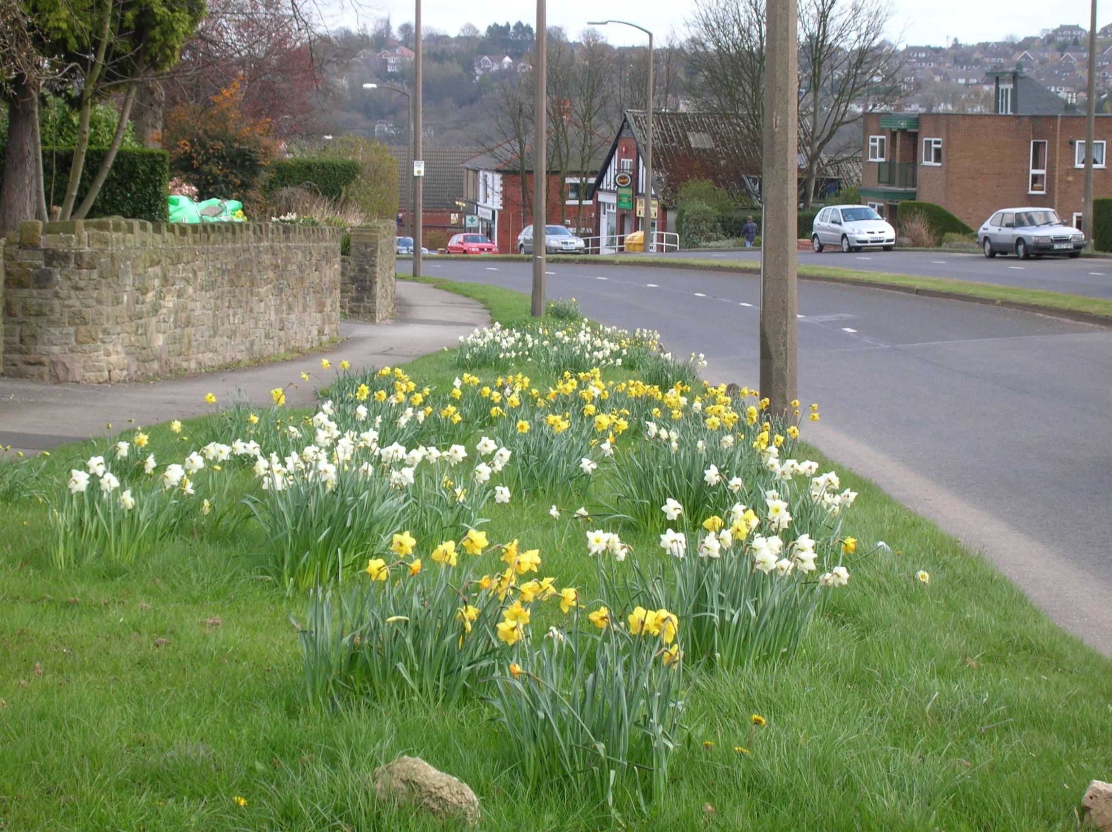 View of Totley