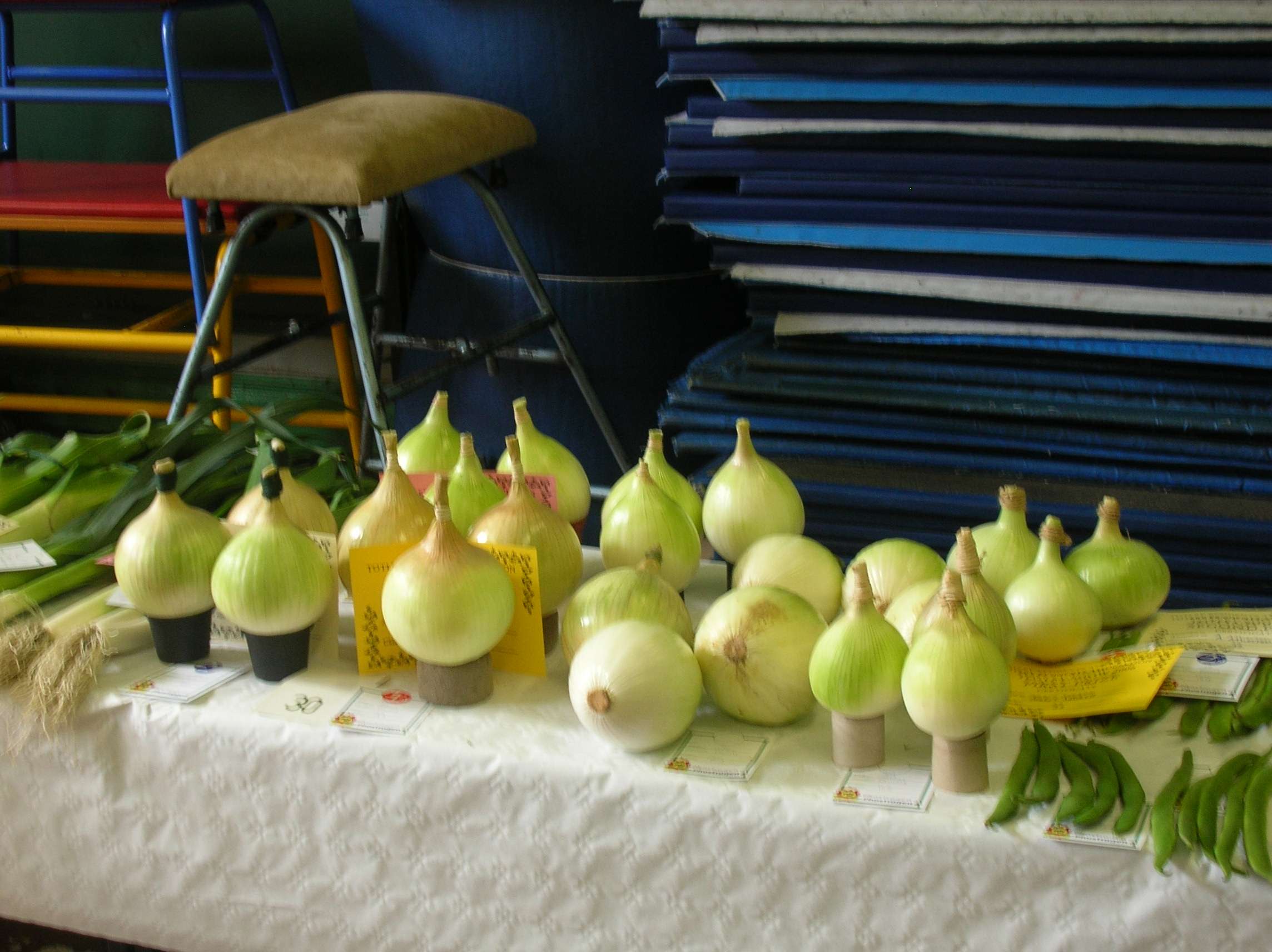 Entries from show