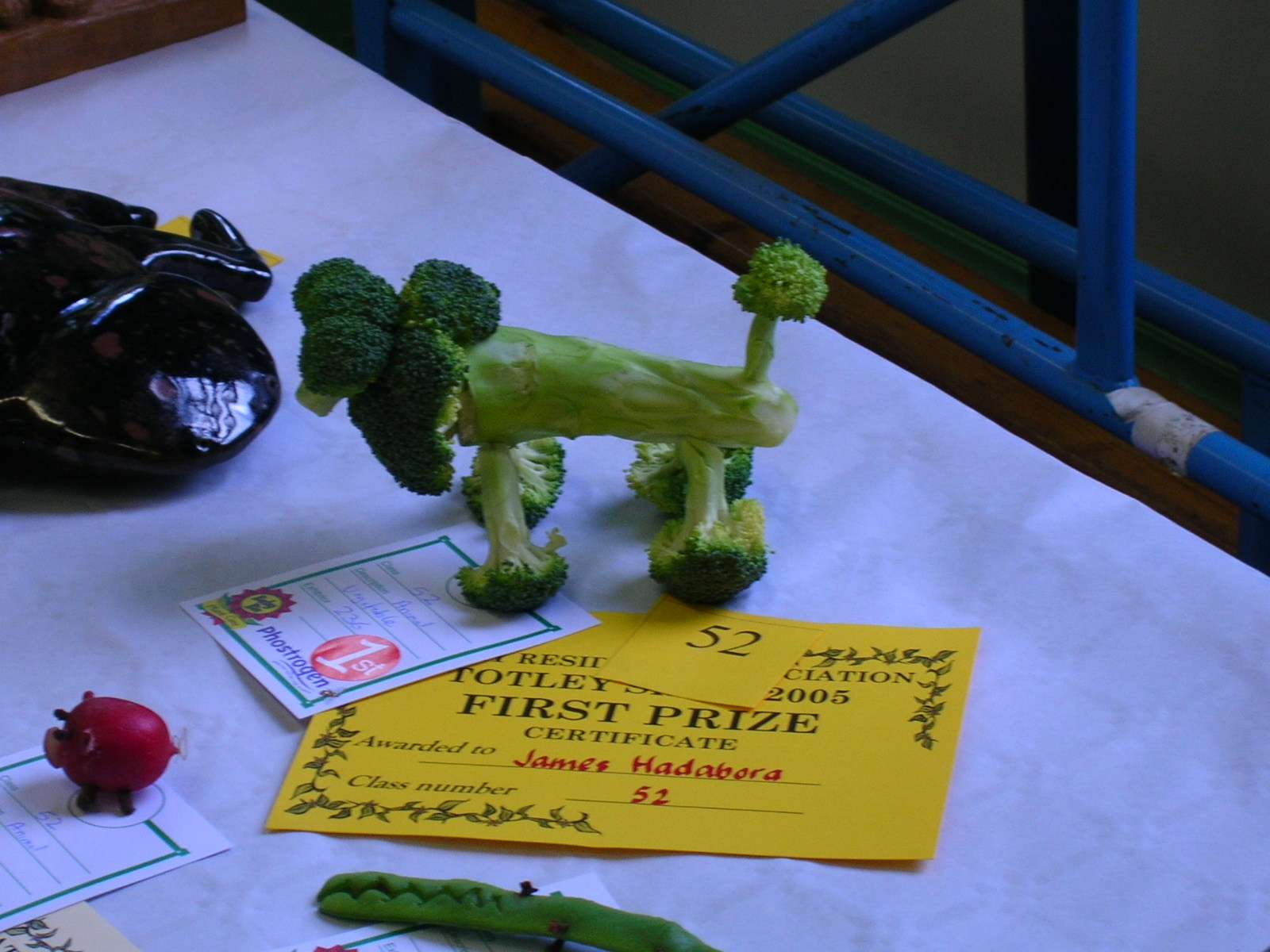 broccoli dog