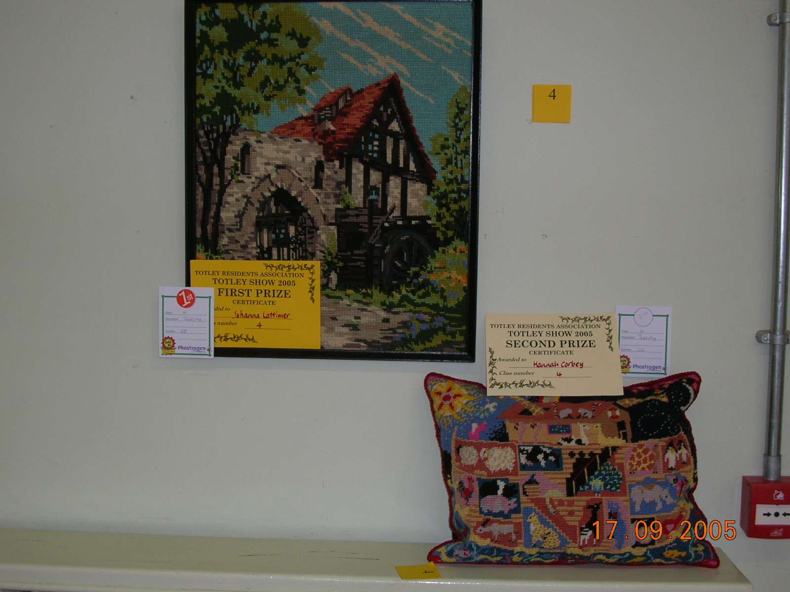 cushion and picture