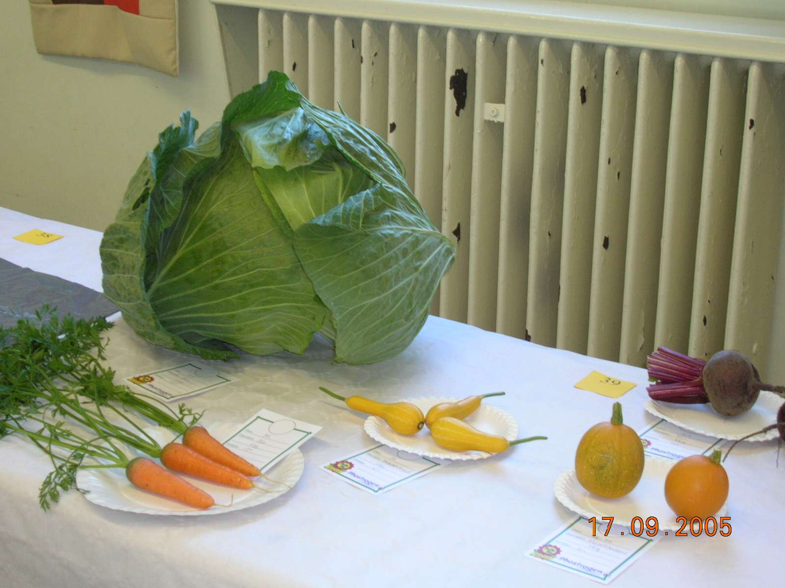 cabbage and carrots