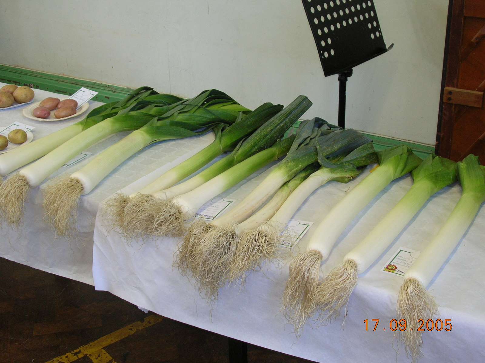 leeks