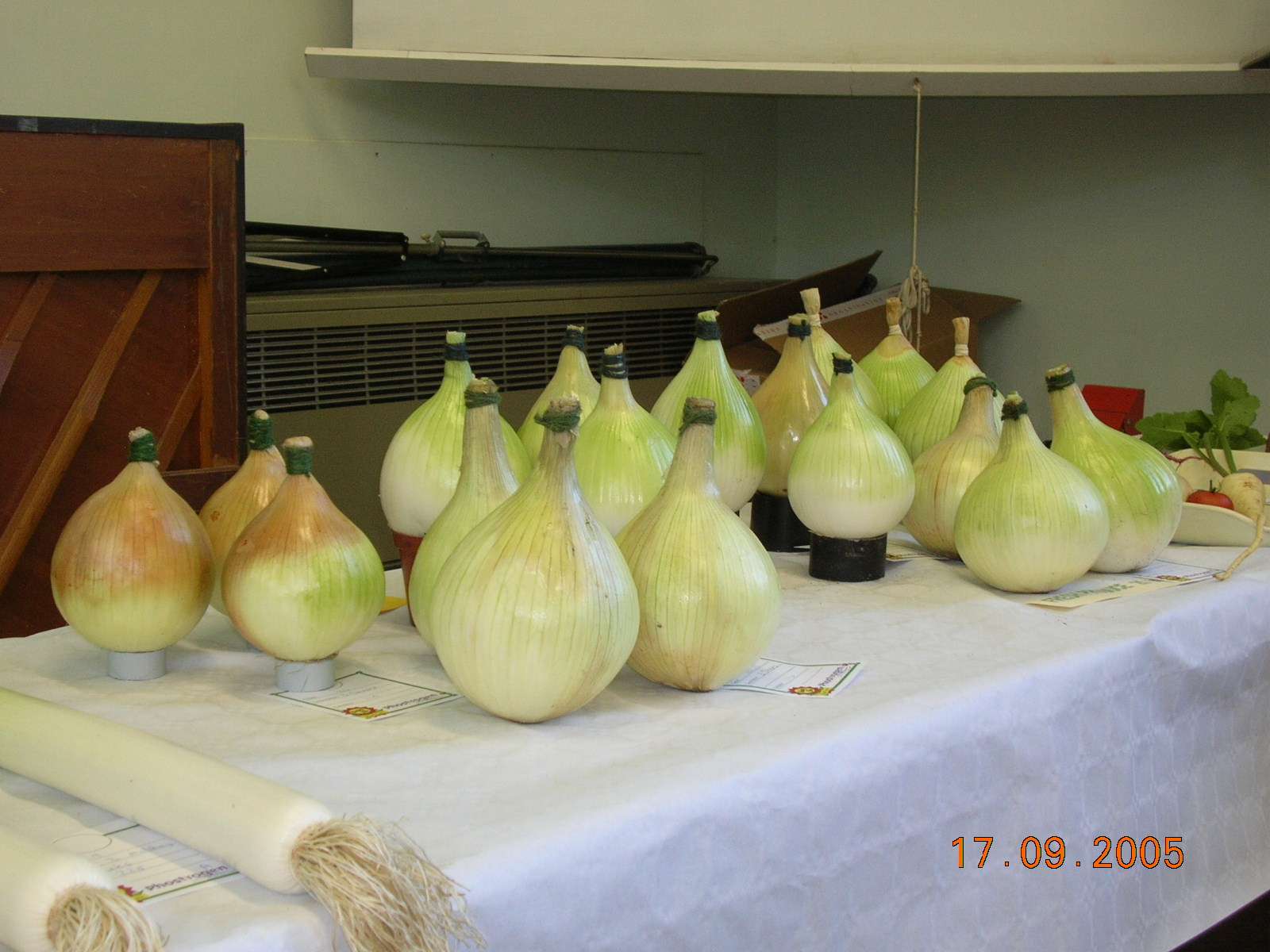 onions